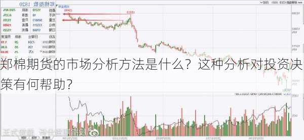 郑棉期货的市场分析方法是什么？这种分析对投资决策有何帮助？