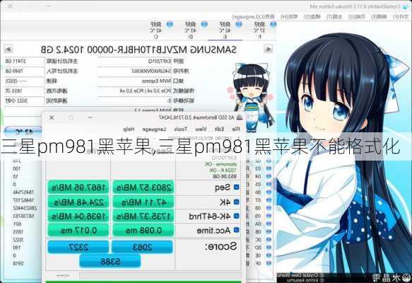 三星pm981黑苹果,三星pm981黑苹果不能格式化