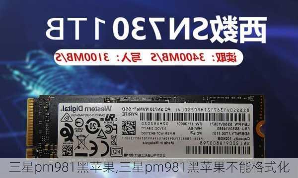 三星pm981黑苹果,三星pm981黑苹果不能格式化