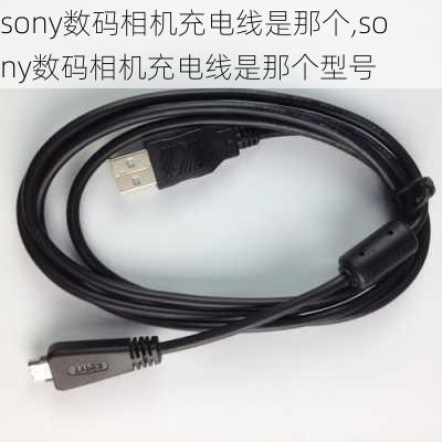 sony数码相机充电线是那个,sony数码相机充电线是那个型号