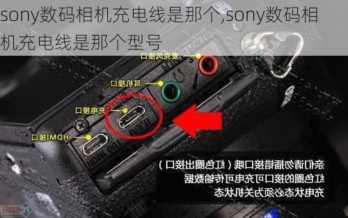 sony数码相机充电线是那个,sony数码相机充电线是那个型号