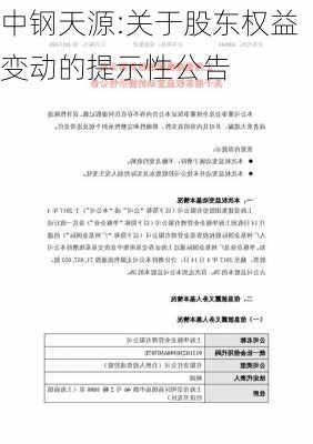 中钢天源:关于股东权益变动的提示性公告