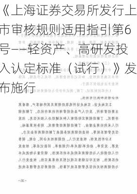 《上海证券交易所发行上市审核规则适用指引第6号――轻资产、高研发投入认定标准（试行）》发布施行