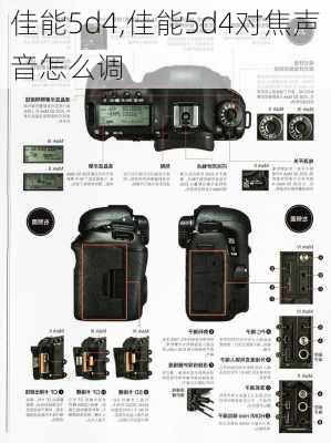 佳能5d4,佳能5d4对焦声音怎么调