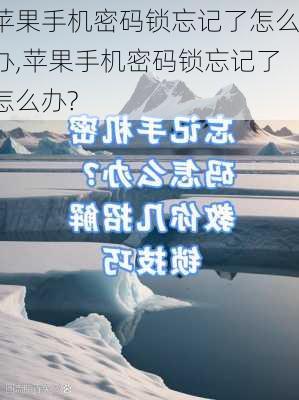 苹果手机密码锁忘记了怎么办,苹果手机密码锁忘记了怎么办?