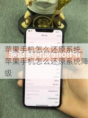 苹果手机怎么还原系统,苹果手机怎么还原系统降级