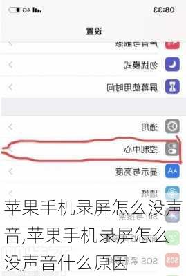 苹果手机录屏怎么没声音,苹果手机录屏怎么没声音什么原因