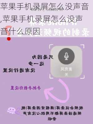 苹果手机录屏怎么没声音,苹果手机录屏怎么没声音什么原因