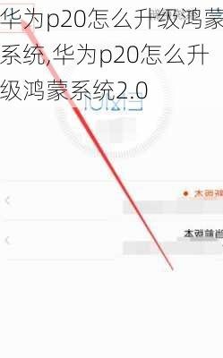 华为p20怎么升级鸿蒙系统,华为p20怎么升级鸿蒙系统2.0