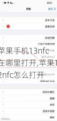 苹果手机13nfc在哪里打开,苹果12nfc怎么打开