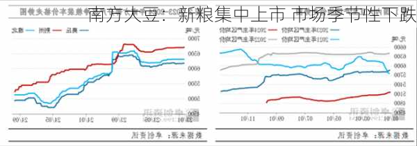 南方大豆：新粮集中上市 市场季节性下跌