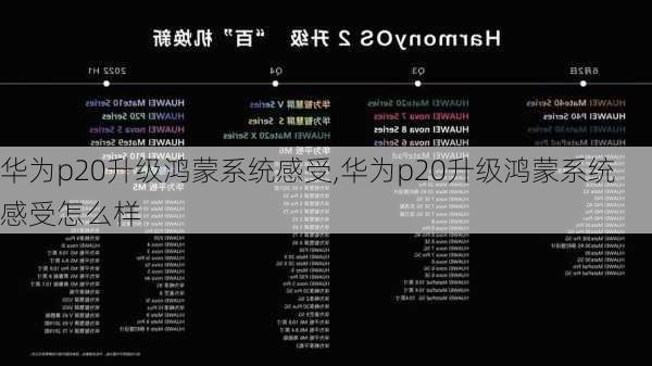 华为p20升级鸿蒙系统感受,华为p20升级鸿蒙系统感受怎么样