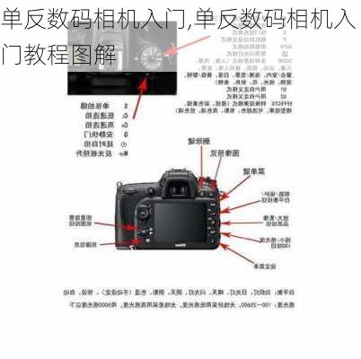 单反数码相机入门,单反数码相机入门教程图解