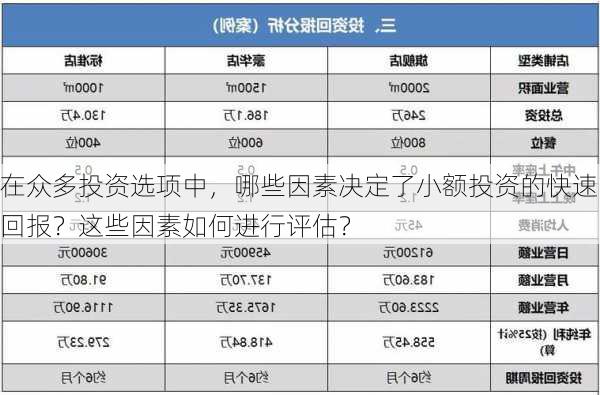 在众多投资选项中，哪些因素决定了小额投资的快速回报？这些因素如何进行评估？