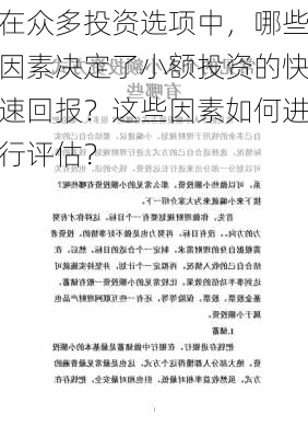 在众多投资选项中，哪些因素决定了小额投资的快速回报？这些因素如何进行评估？