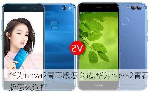 华为nova2青春版怎么选,华为nova2青春版怎么选择