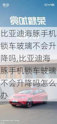 比亚迪海豚手机锁车玻璃不会升降吗,比亚迪海豚手机锁车玻璃不会升降吗怎么办