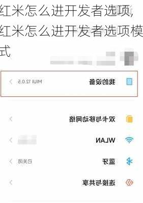 红米怎么进开发者选项,红米怎么进开发者选项模式