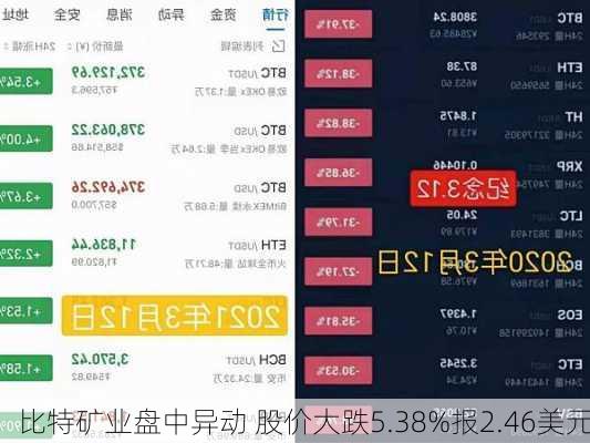 比特矿业盘中异动 股价大跌5.38%报2.46美元