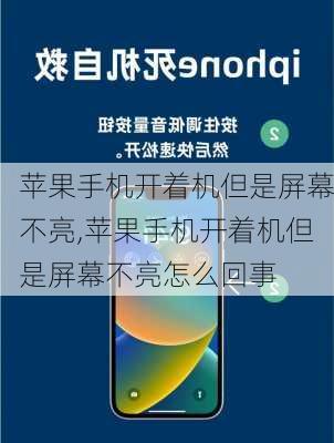 苹果手机开着机但是屏幕不亮,苹果手机开着机但是屏幕不亮怎么回事