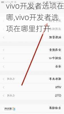 vivo开发者选项在哪,vivo开发者选项在哪里打开