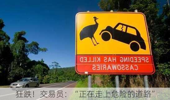 狂跌！交易员：“正在走上危险的道路”