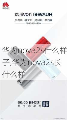 华为nova2s什么样子,华为nova2s长什么样