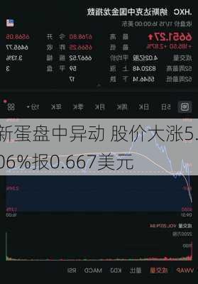 新蛋盘中异动 股价大涨5.06%报0.667美元