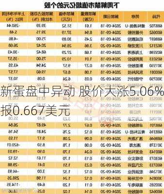 新蛋盘中异动 股价大涨5.06%报0.667美元