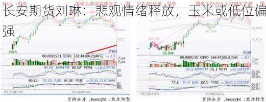 长安期货刘琳：悲观情绪释放，玉米或低位偏强