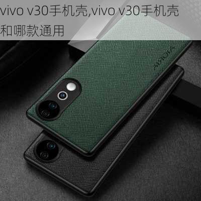 vivo v30手机壳,vivo v30手机壳和哪款通用