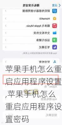 苹果手机怎么重启应用程序设置,苹果手机怎么重启应用程序设置密码