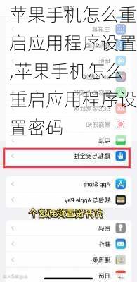 苹果手机怎么重启应用程序设置,苹果手机怎么重启应用程序设置密码