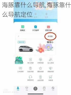 海豚靠什么导航,海豚靠什么导航定位