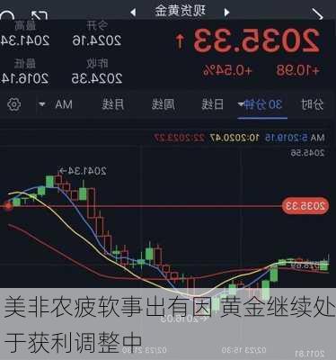 美非农疲软事出有因 黄金继续处于获利调整中