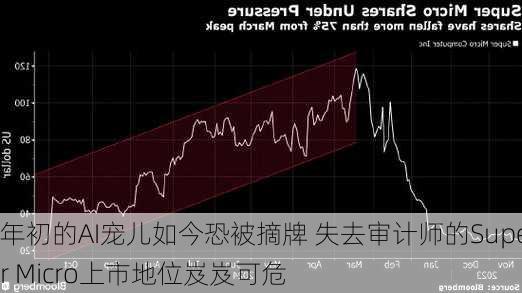 年初的AI宠儿如今恐被摘牌 失去审计师的Super Micro上市地位岌岌可危