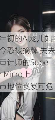 年初的AI宠儿如今恐被摘牌 失去审计师的Super Micro上市地位岌岌可危