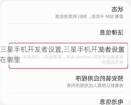 三星手机开发者设置,三星手机开发者设置在哪里