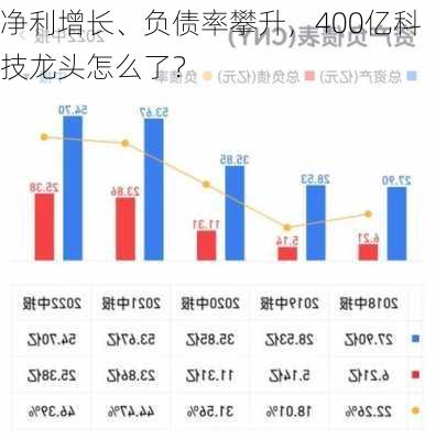 净利增长、负债率攀升，400亿科技龙头怎么了？