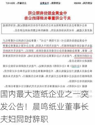 国内最大造纸企业之一突发公告！晨鸣纸业董事长夫妇同时辞职