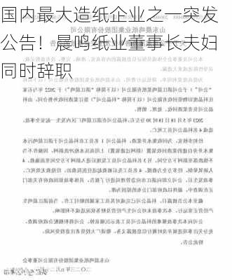 国内最大造纸企业之一突发公告！晨鸣纸业董事长夫妇同时辞职