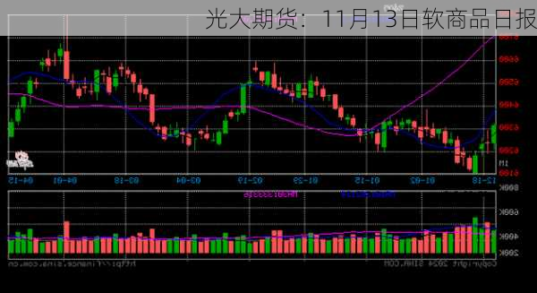 光大期货：11月13日软商品日报