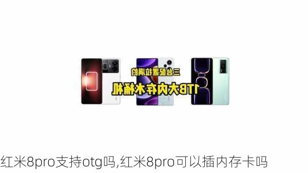 红米8pro支持otg吗,红米8pro可以插内存卡吗