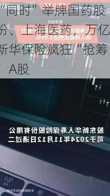 “同时”举牌国药股份、上海医药，万亿新华保险疯狂“抢筹” A股