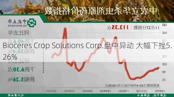 Bioceres Crop Solutions Corp.盘中异动 大幅下挫5.26%