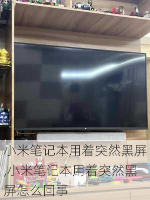 小米笔记本用着突然黑屏,小米笔记本用着突然黑屏怎么回事