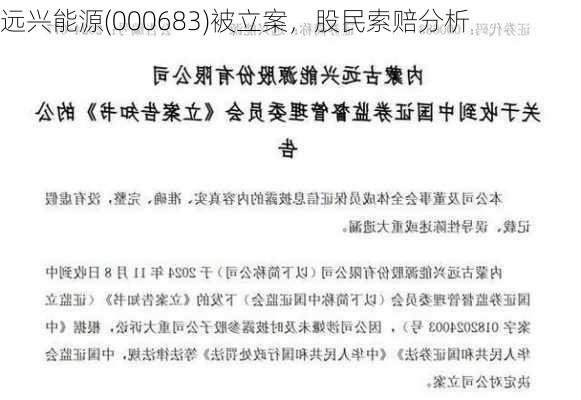 远兴能源(000683)被立案，股民索赔分析