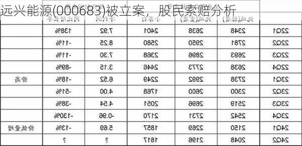 远兴能源(000683)被立案，股民索赔分析